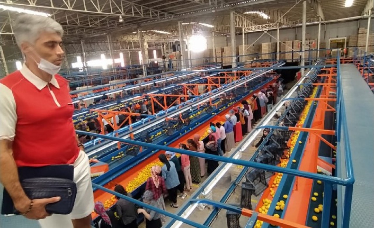 Boris Volfman: "Armut ve ayva ihracatı artıyor"