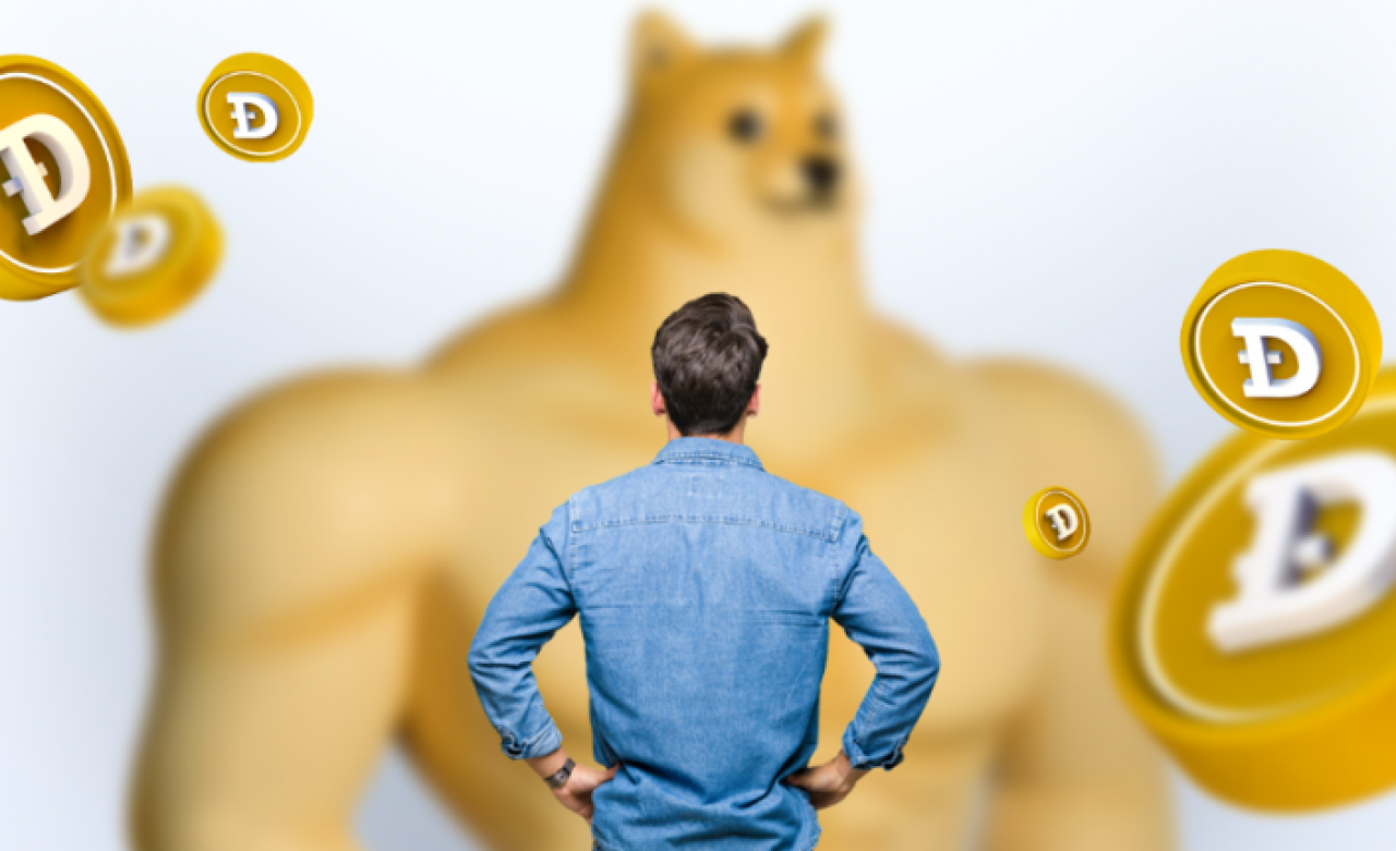 Doge Satın Almaya Değer mi? Dogecoin Kaç TL?