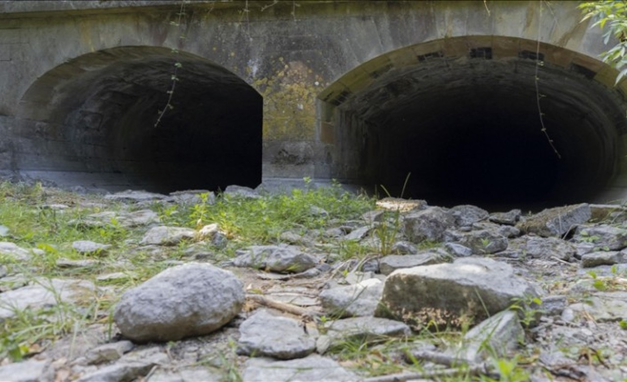 İngiltere'deki Thames Nehri'nin kaynağı kuruyor