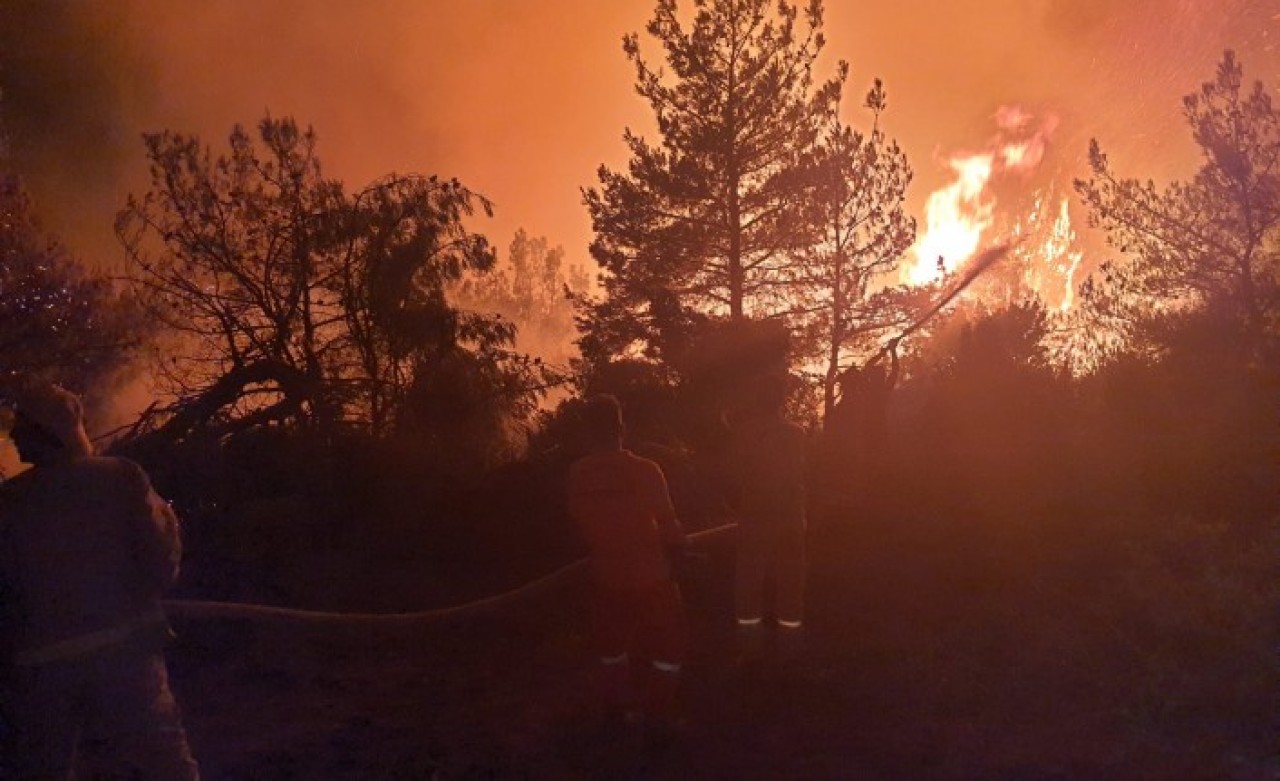 Manisa'da orman yangını: Uçaklar devrede