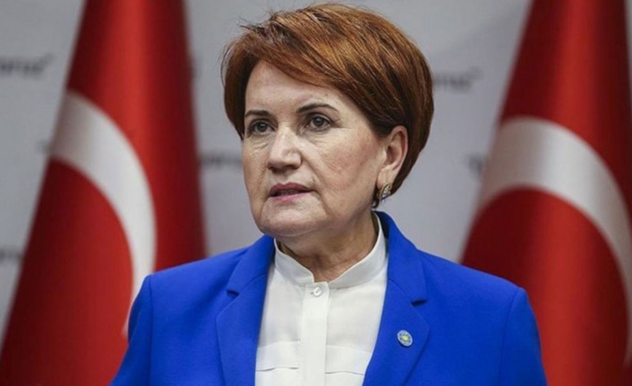 Meral Akşener'i sokak köpeği ısırdı