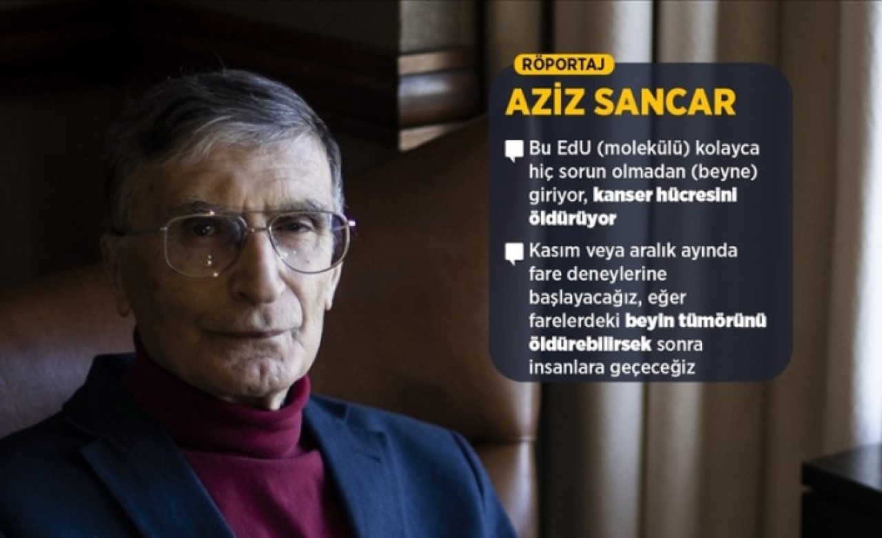 Nobel ödüllü Prof. Dr. Sancar,  beyin kanseri çalışmasını AA'ya anlattı