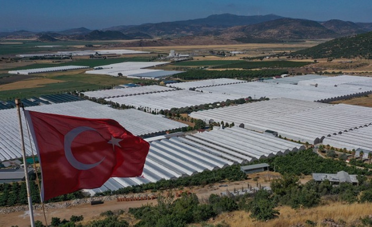 Tarımsal üretimde "jeotermal seracılık" seferberliği