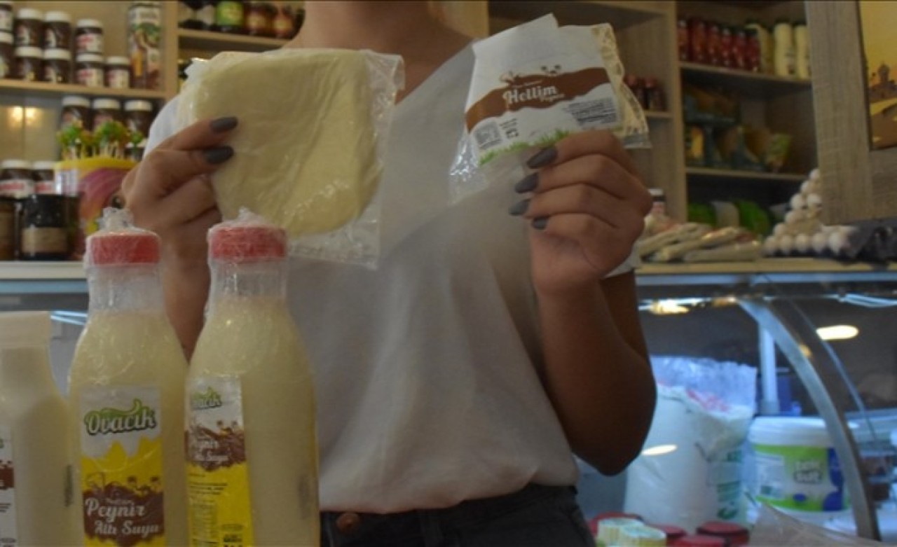 Aydın'da deve sütü peynirinin tanıtımı yapıldı