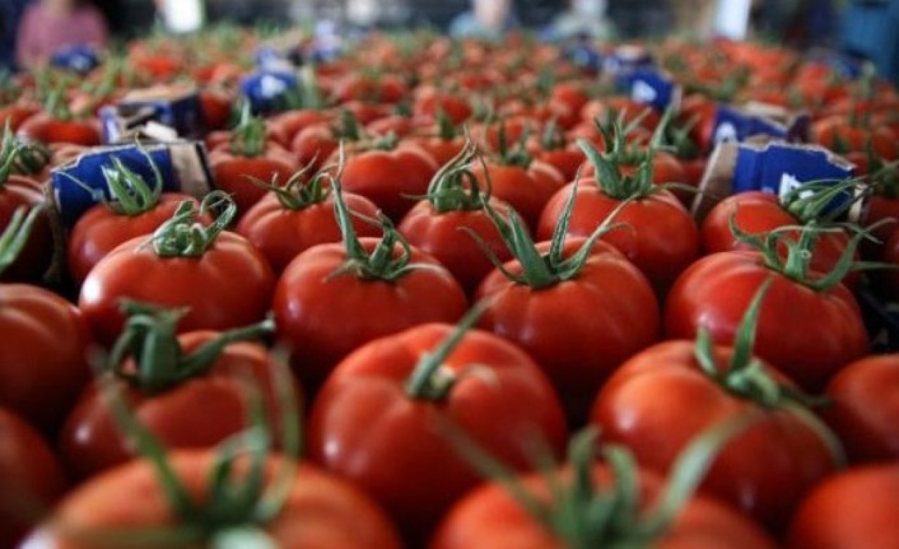 Domatesle ilgili flaş karar