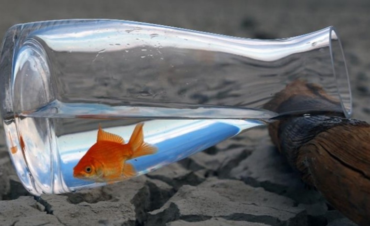 İklim değişikliğine yol açan faaliyetler nehirleri de kurutuyor