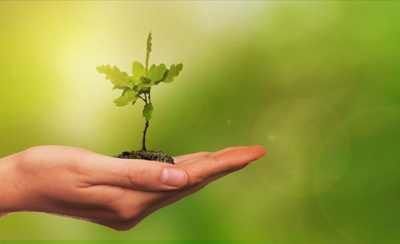 İş dünyası  "İklim ve Çevre Portalı" nı kurdu