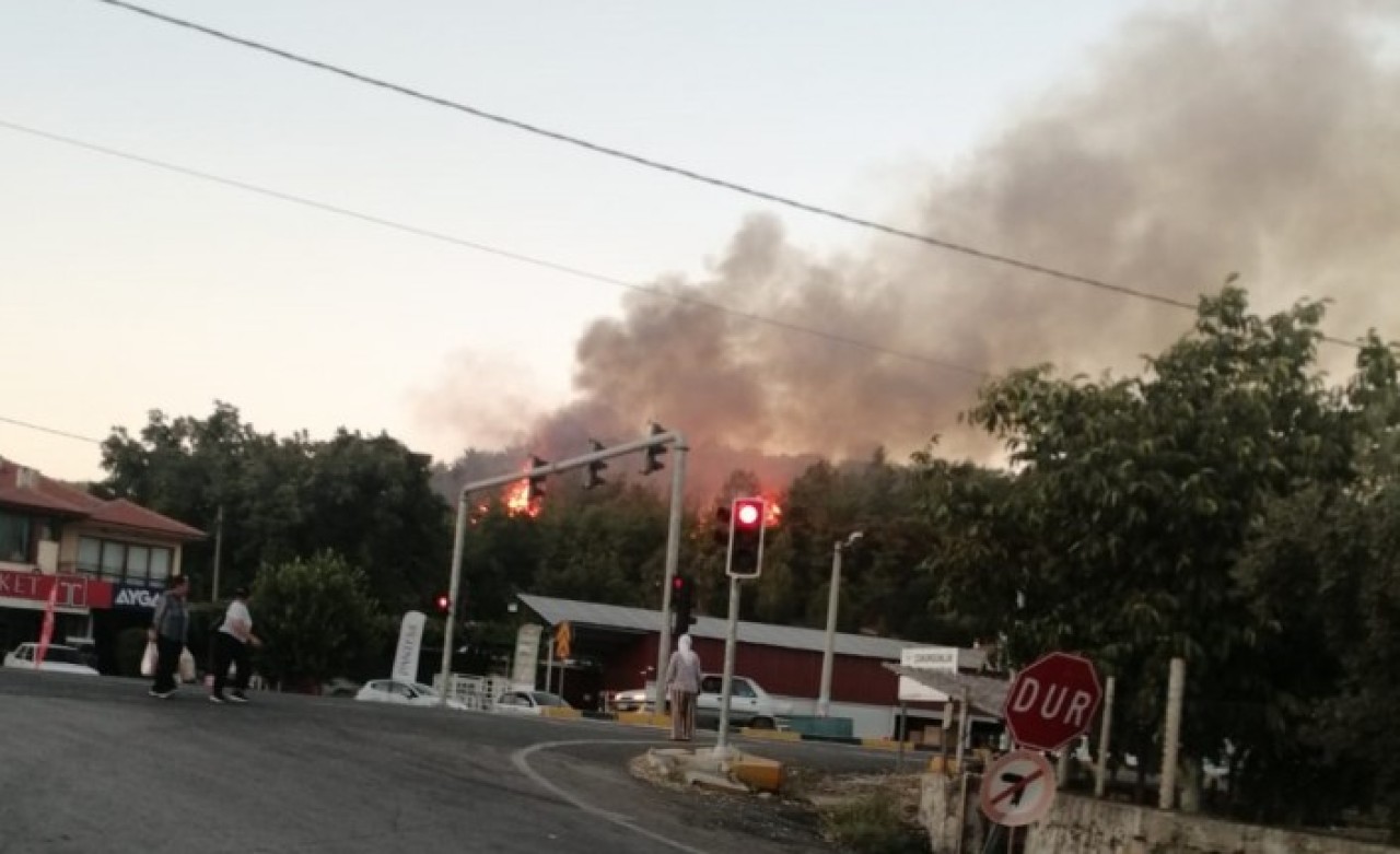 Kaş'ta yangın seralara sıçradı. Ula da yanıyor