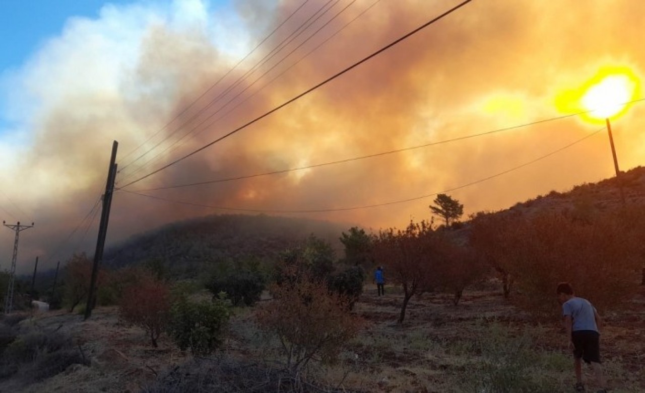 Mersin'de büyük yangın,  Akkuyu'ya yaklaşıyor: Evler tahliye ediliyor