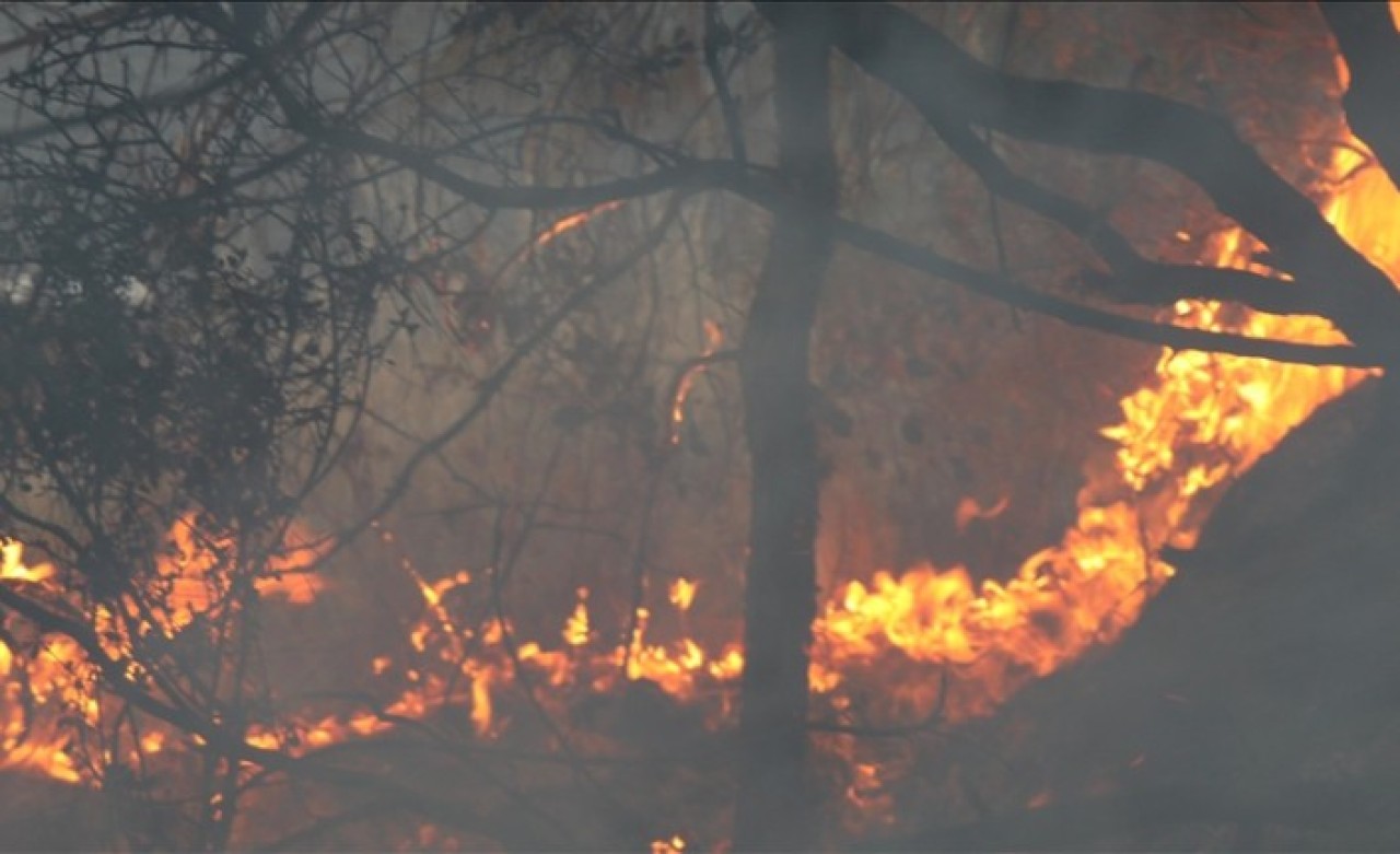Orman yangınlarına "yüksek teknoloji"yle müdahale ediliyor