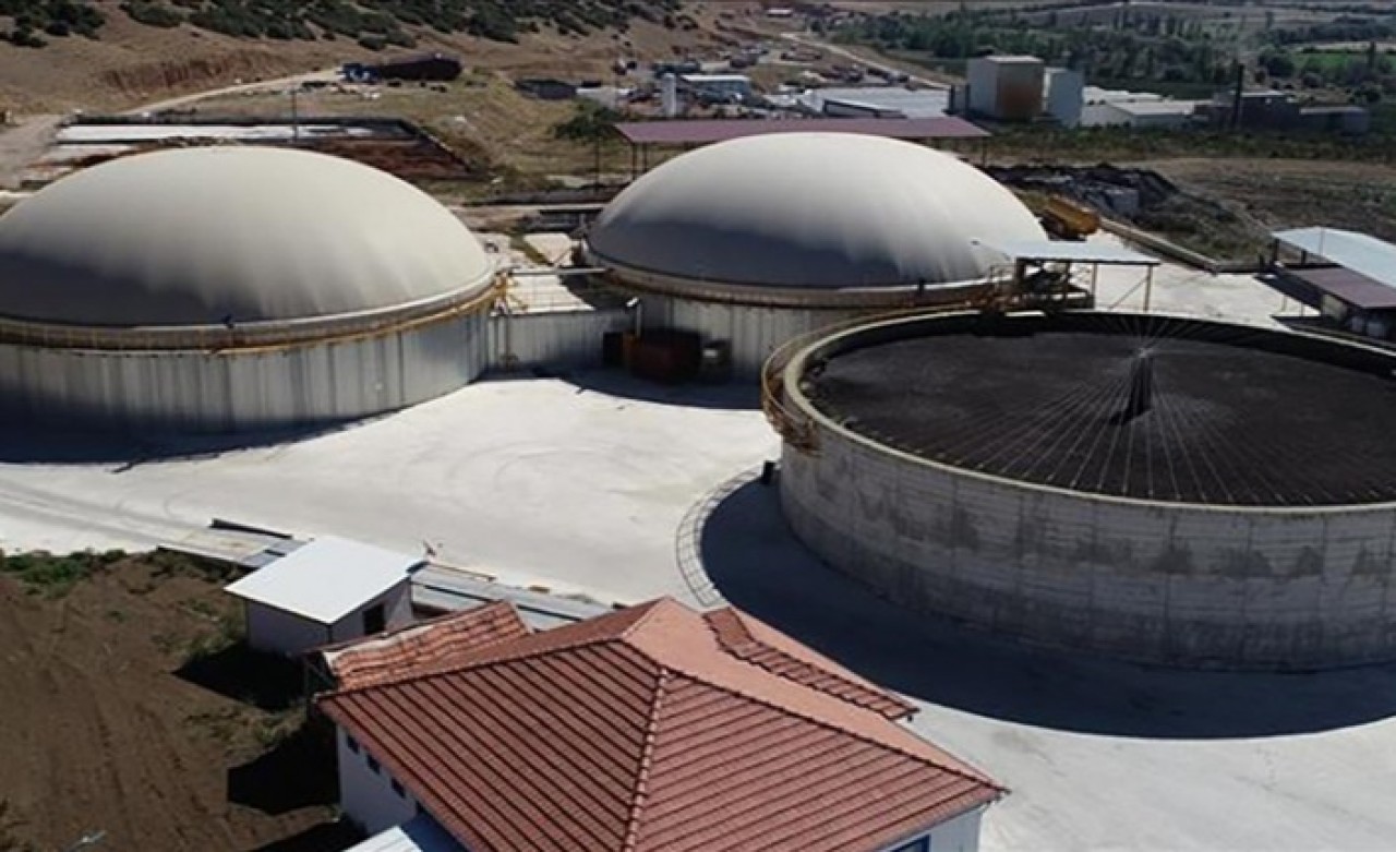 Meyve atıkları bu fabrikada elektrik enerjisine dönüşüyor