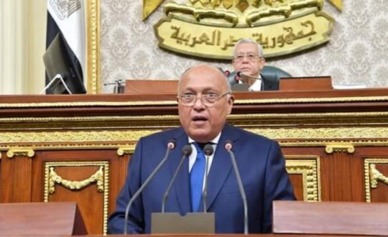 Mısır Dışişleri Bakanı Semih Şükrü'nün açıklamasından sonra Arap basınından flaş Türkiye iddiası