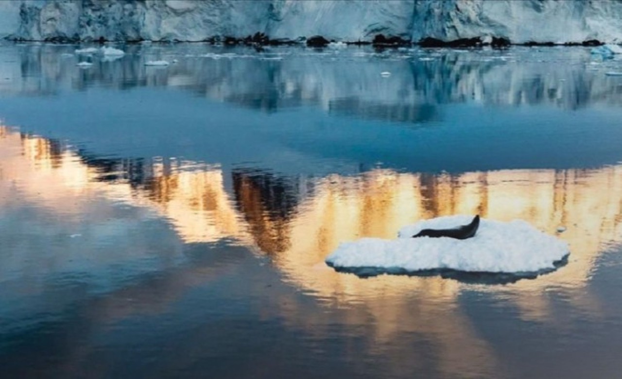 OANA'dan AA'ya ödül