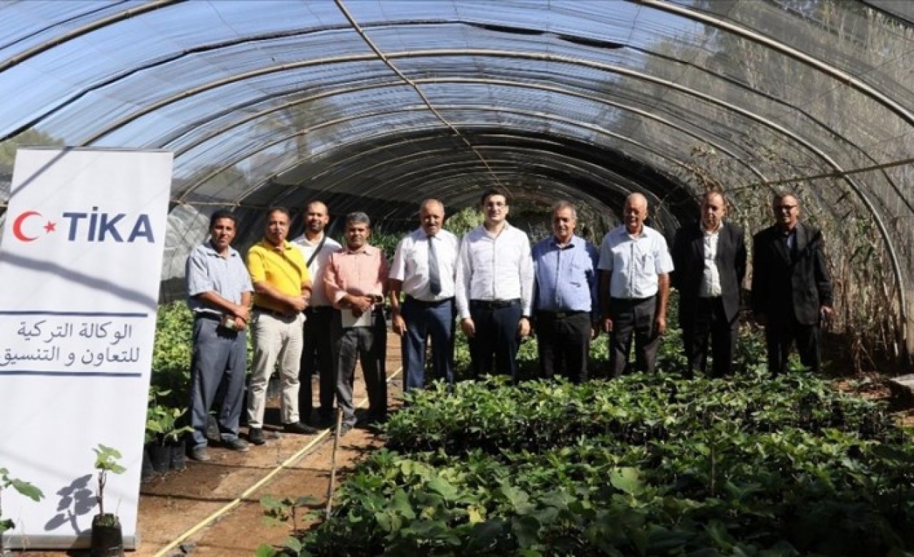 TİKA'dan Tunuslu çiftçilere incir fidesi desteği