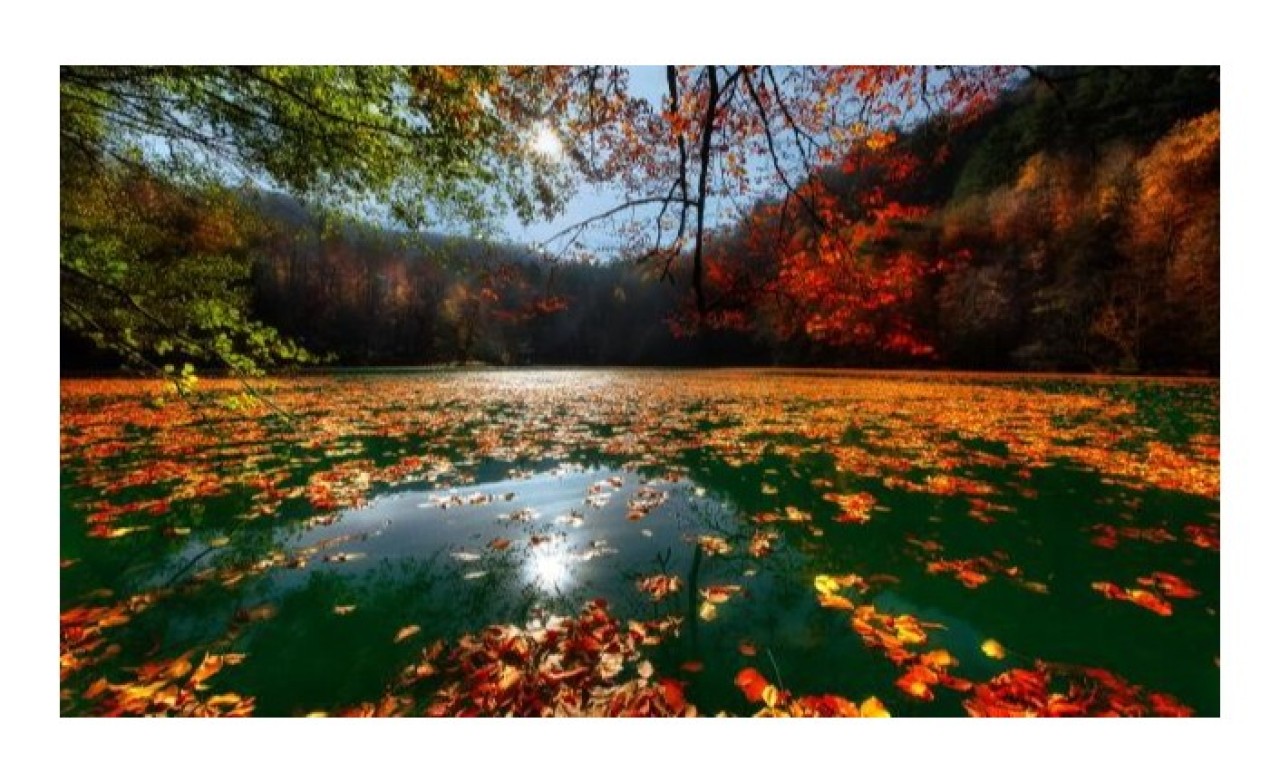 Türkiye'nin gizli hazinesi: Korunan alanlar