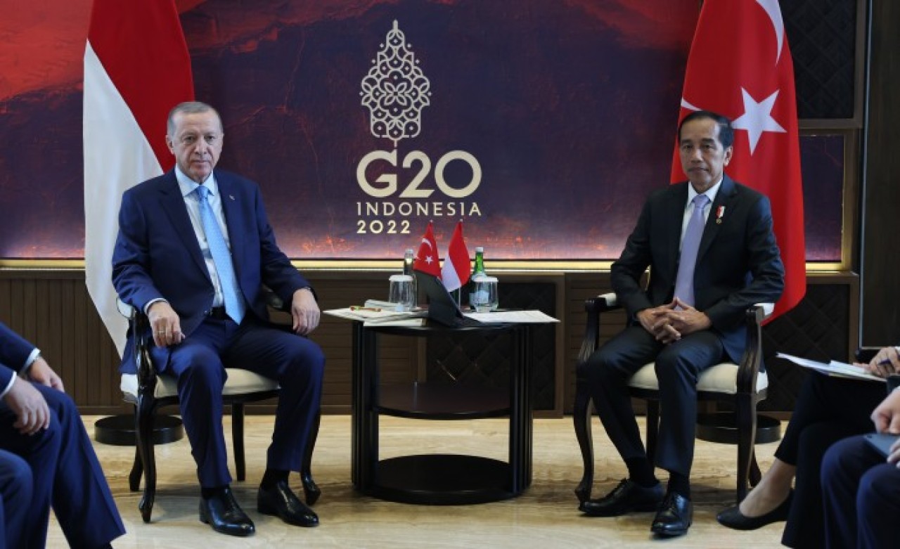 Cumhurbaşkanı Erdoğan,  Endonezya Devlet Başkanı Widodo ile görüştü