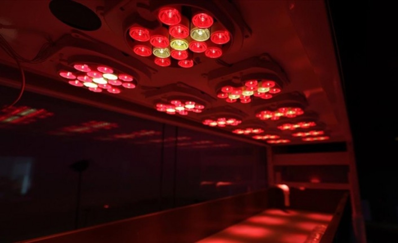 Topraksız tarımda 'güneşi taklit eden teknoloji' geliştirildi