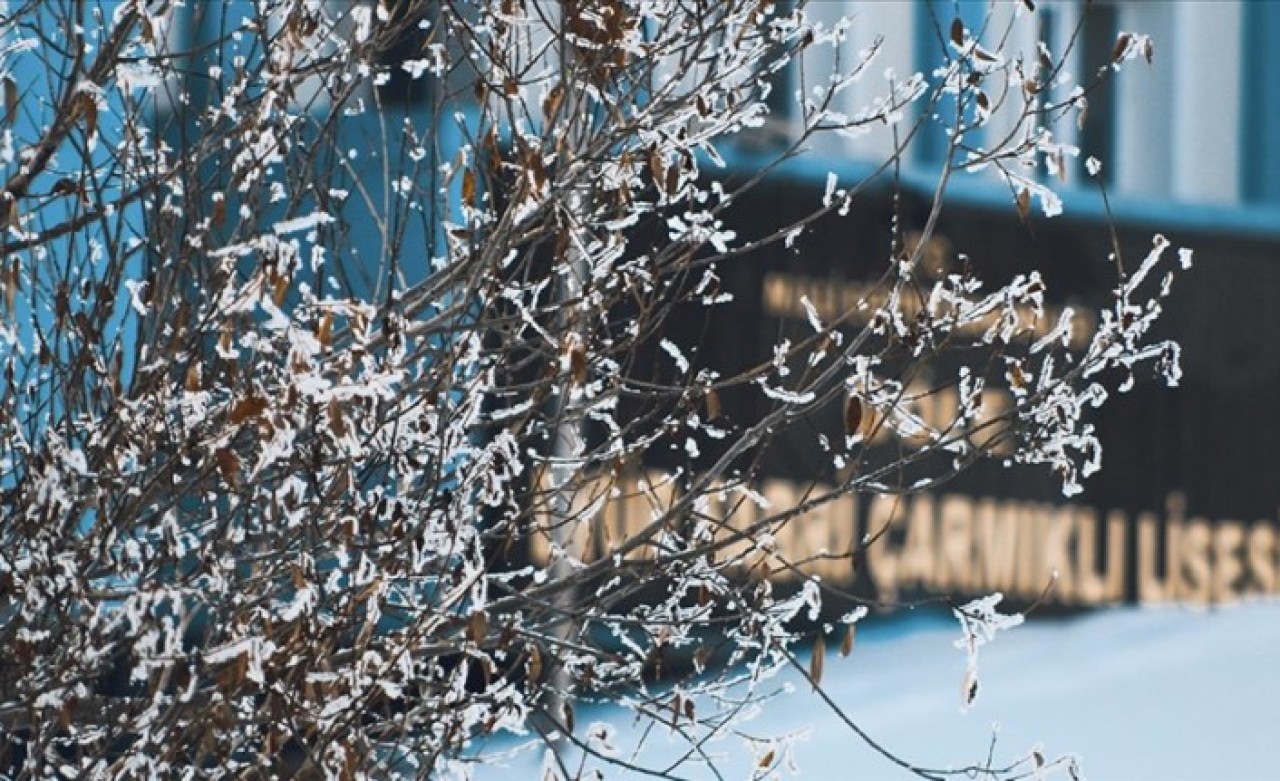 Doğu Anadolu'da soğuk hava ve kar etkili oluyor