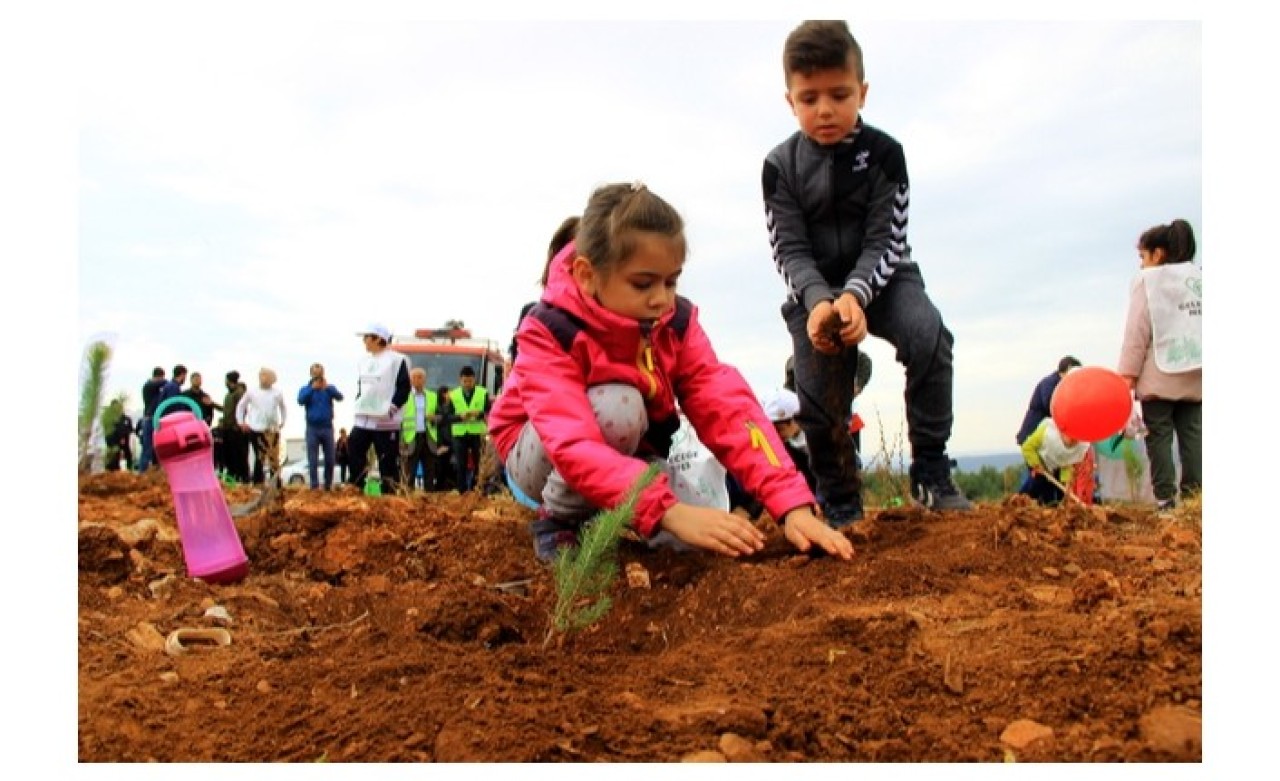 Marmaris'te yanan ormanlık alana 5 bin fidan daha dikildi