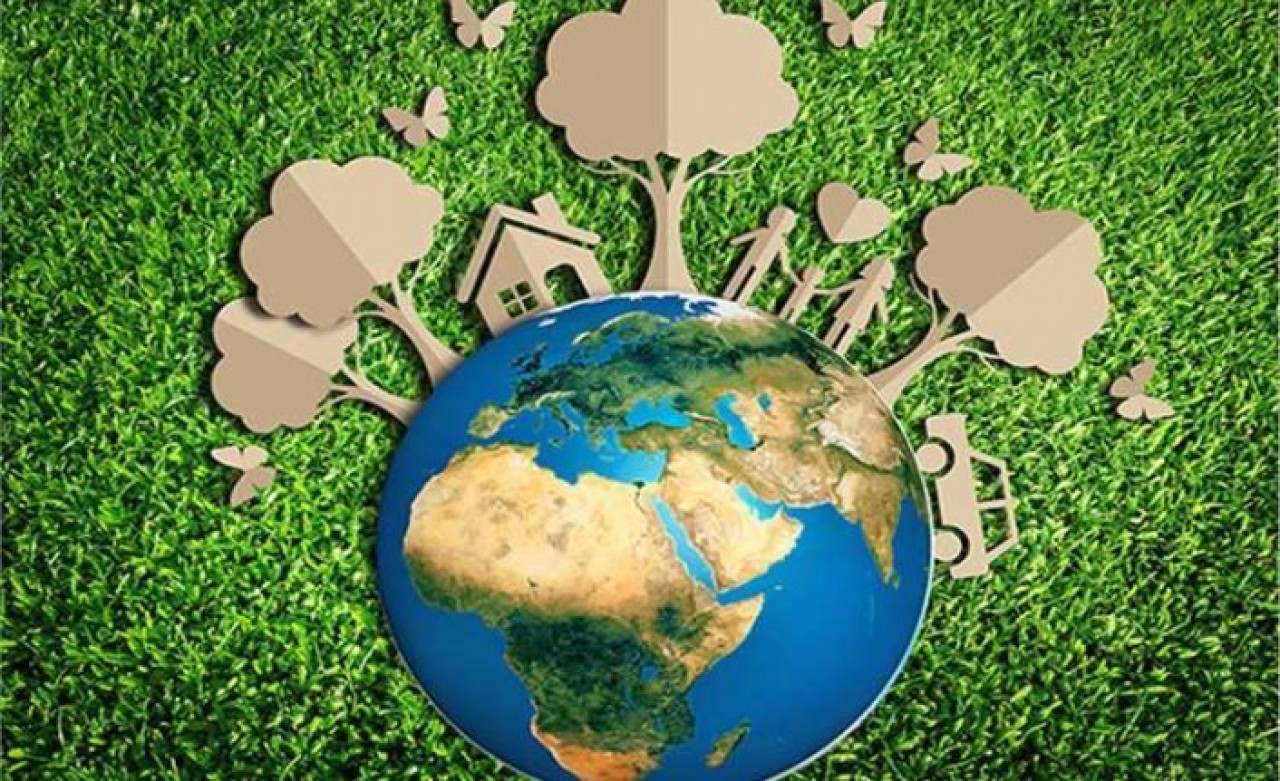 Türkiye'nin sunucusu olduğu "sıfır atık" kararı BM Genel Kurulunda kabul edildi