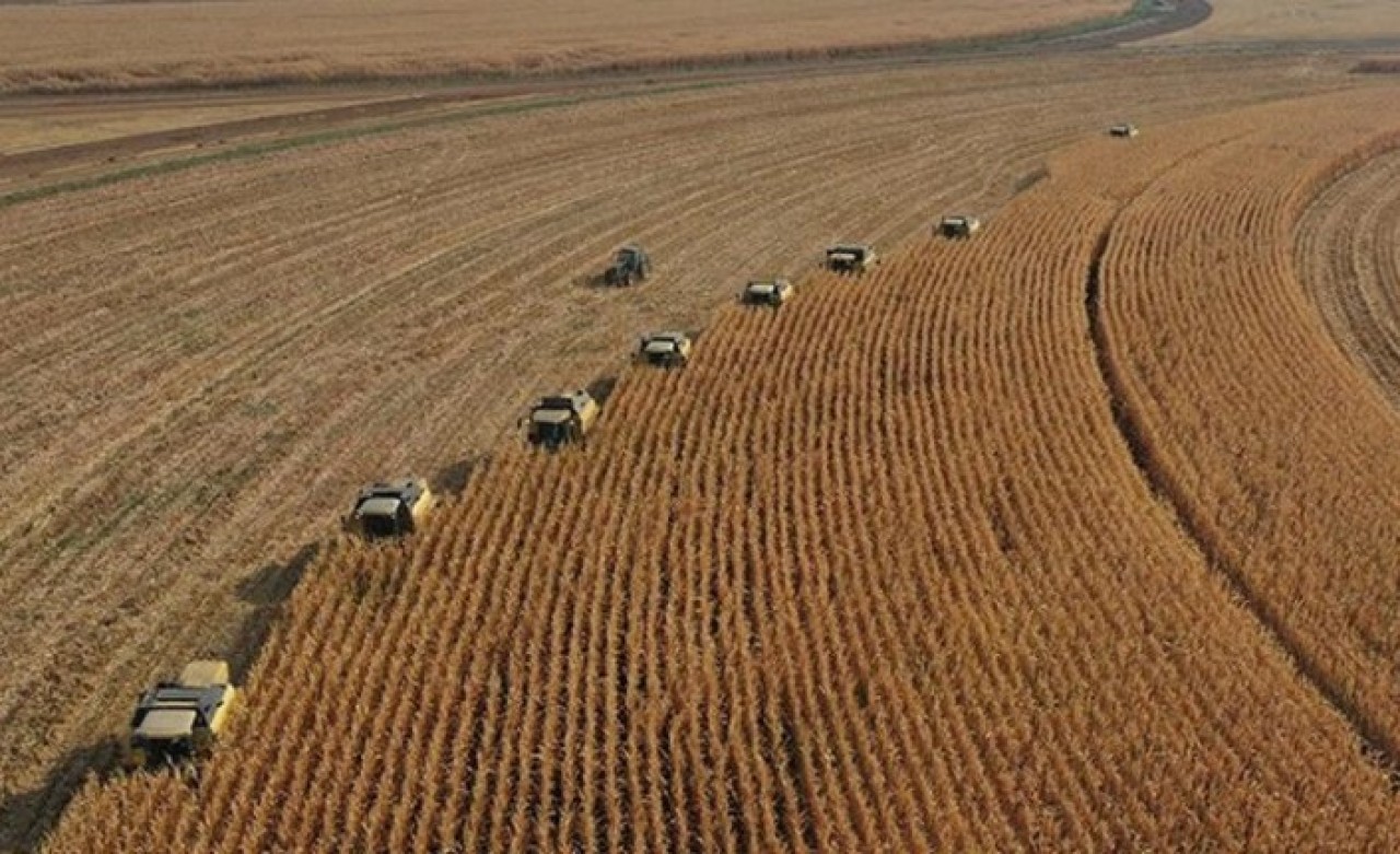 'Tarım cebimde' uygulaması hayata geçiyor! Bakan Kirişci duyurdu,  Türkiye'de bir ilk