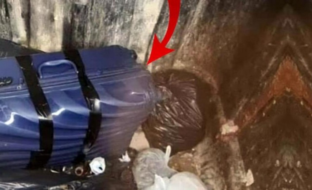 Ünlü ismin cansız bedeni çöpteki valizden çıktı