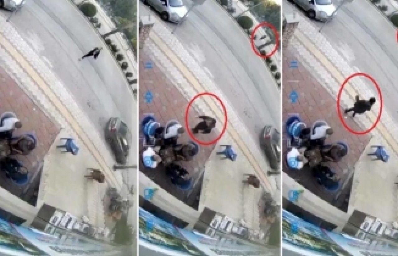 Hatay'da insanlıktan utandıran görüntüler: Satırla dövülen kadın yardım istedi,  erkekler tavla oynamaya devam etti!