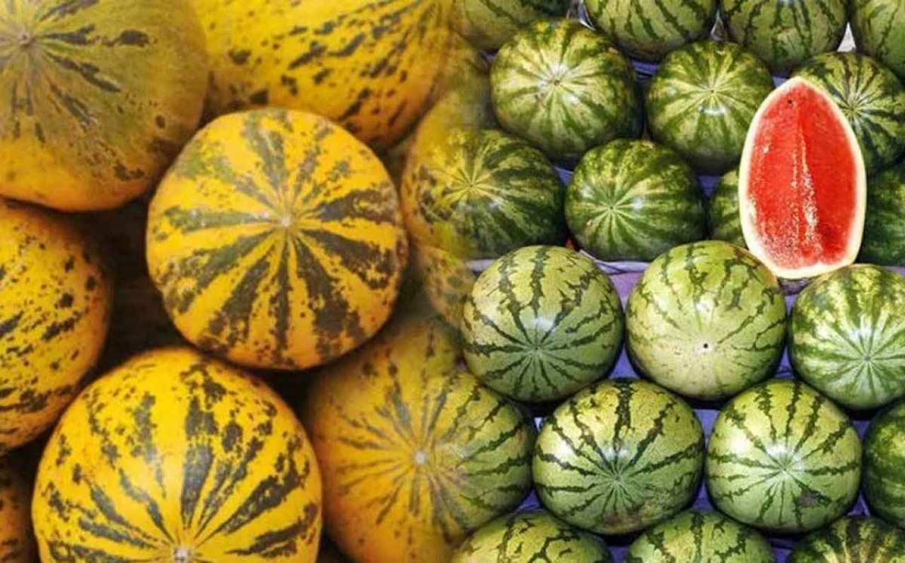 Kavun karpuz bile yiyemeyeceğiz: Yaz çok zor geçecek