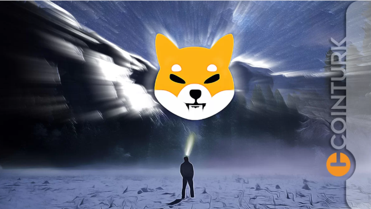 Shiba ve Dogecoin Fiyatı: SHIB ve DOGE’de Önemli Seviyeler!