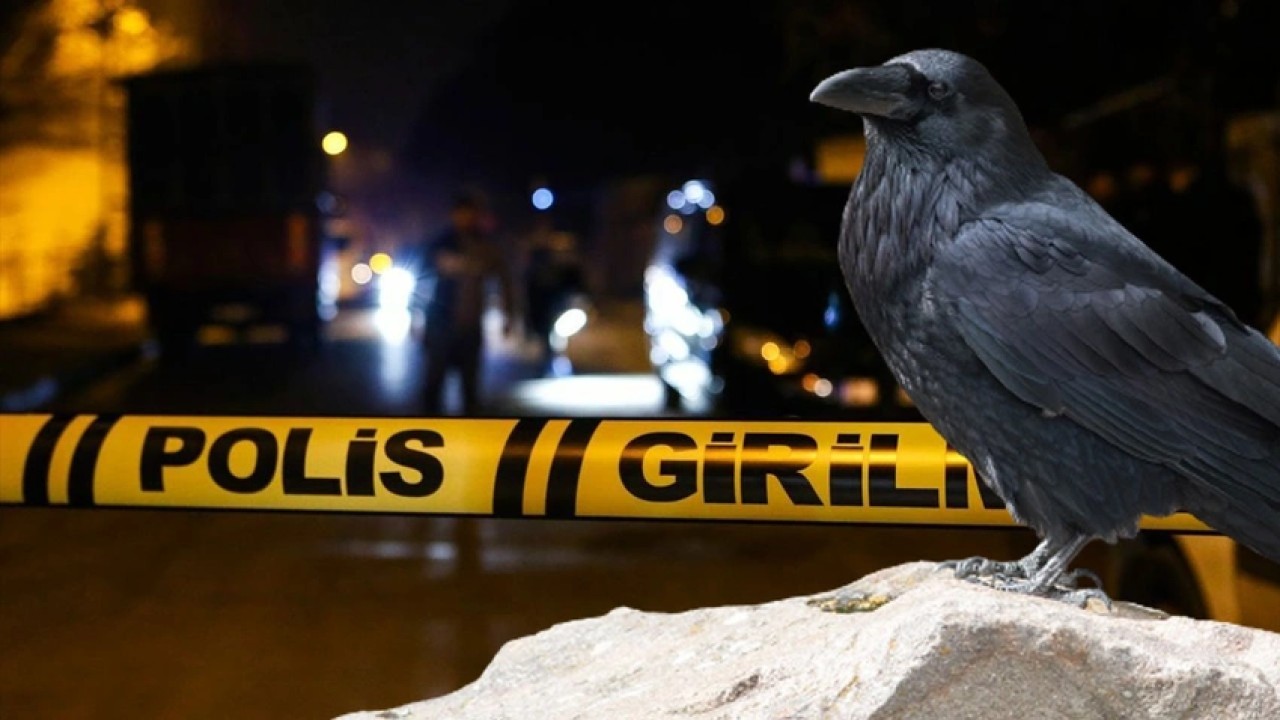 Ankara'da oğlu Sefa Yağmur'un bıçakladığı annesi Zeliha Yağmur öldü