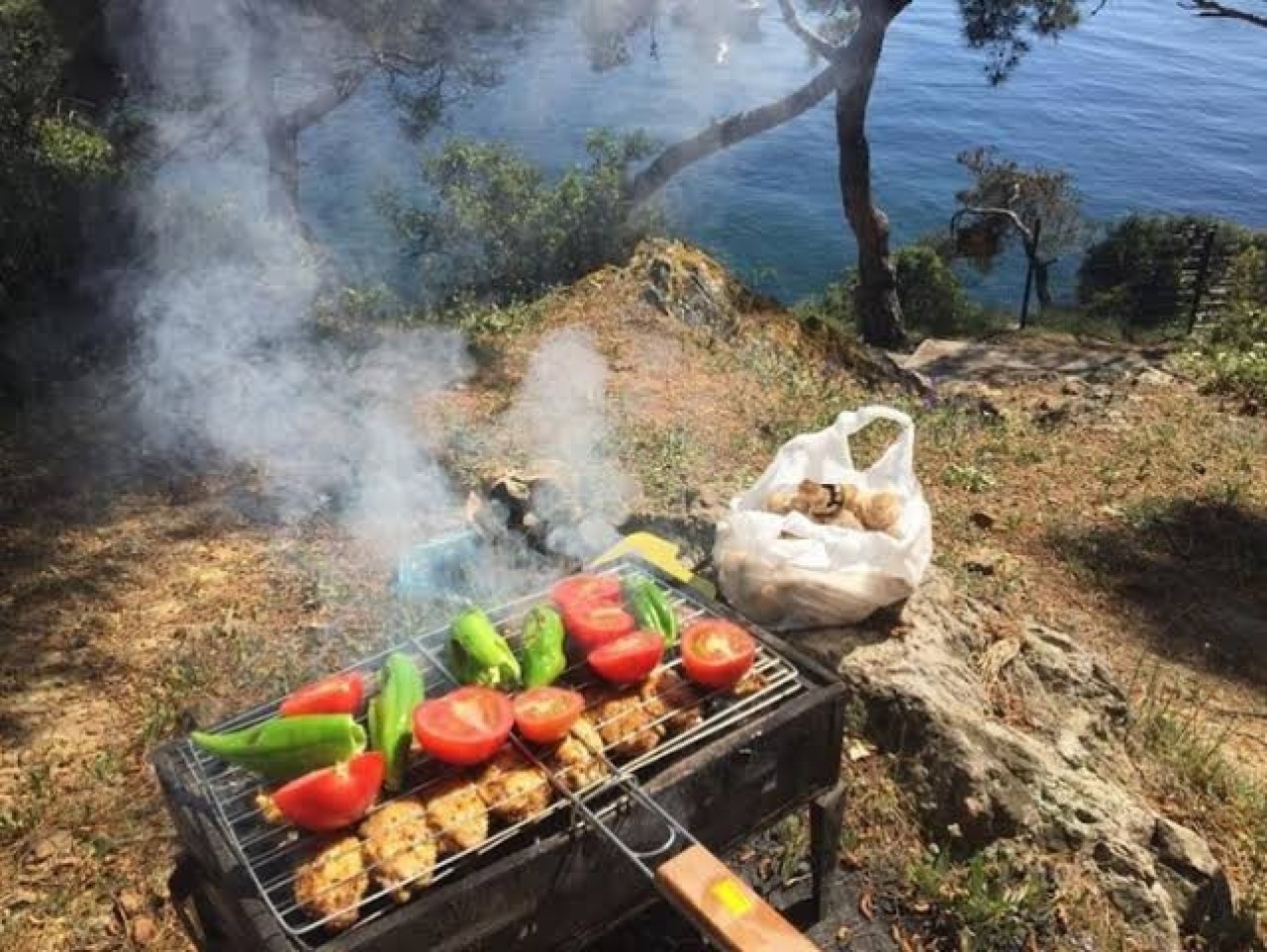 Mangal yakmak yasaklandı