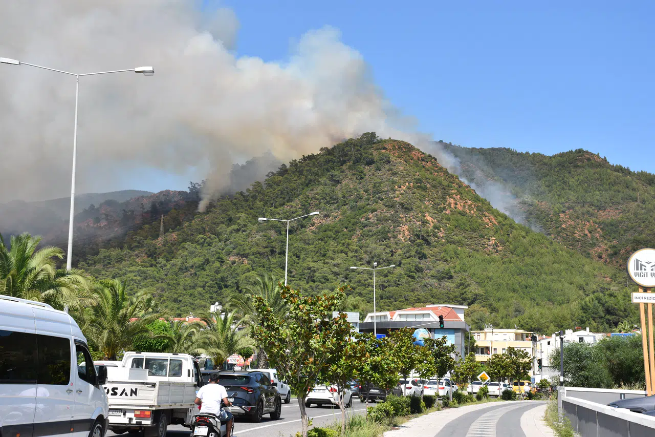 Marmaris'teki orman yangınının nedeni kan dondurdu. Yanmış ceset bulundu