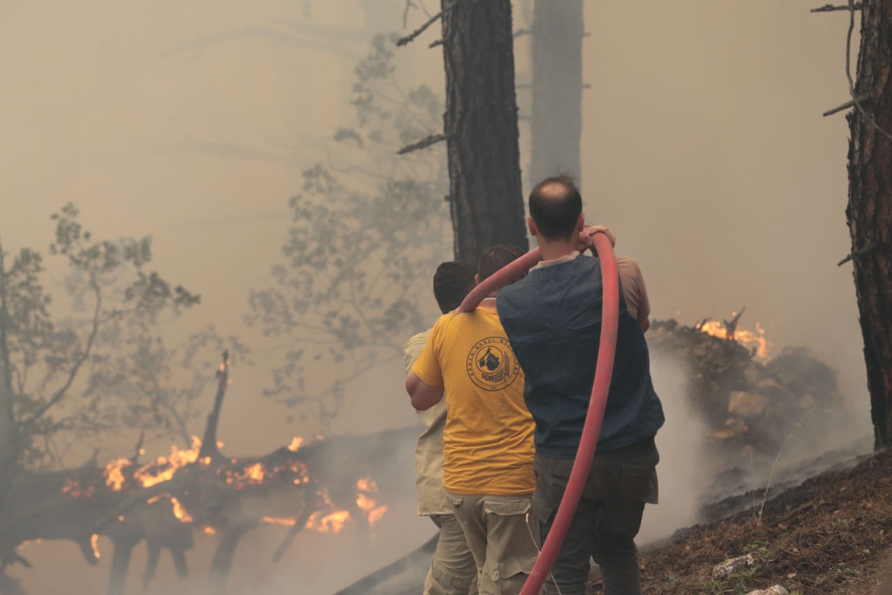 Bolu Göynük'te orman yangını sürüyor