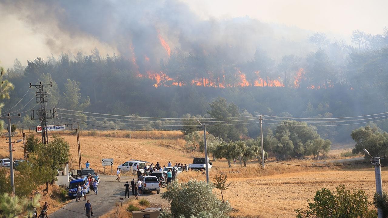 Milas'ta büyük yangın. Bodrum'a ilerliyor