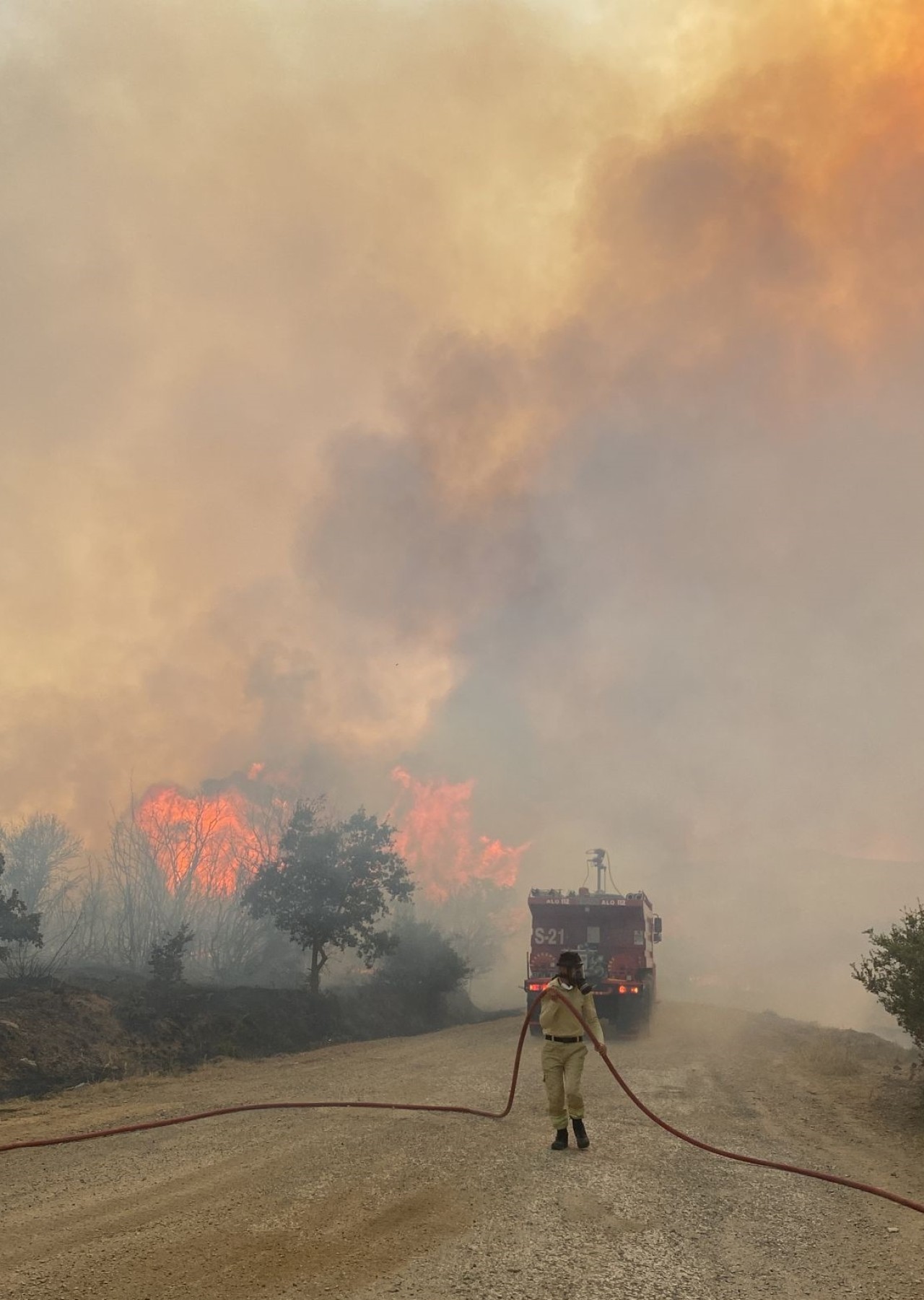 Çanakkale'de yine yangın çıktı. Bu kez de Biga yanıyor