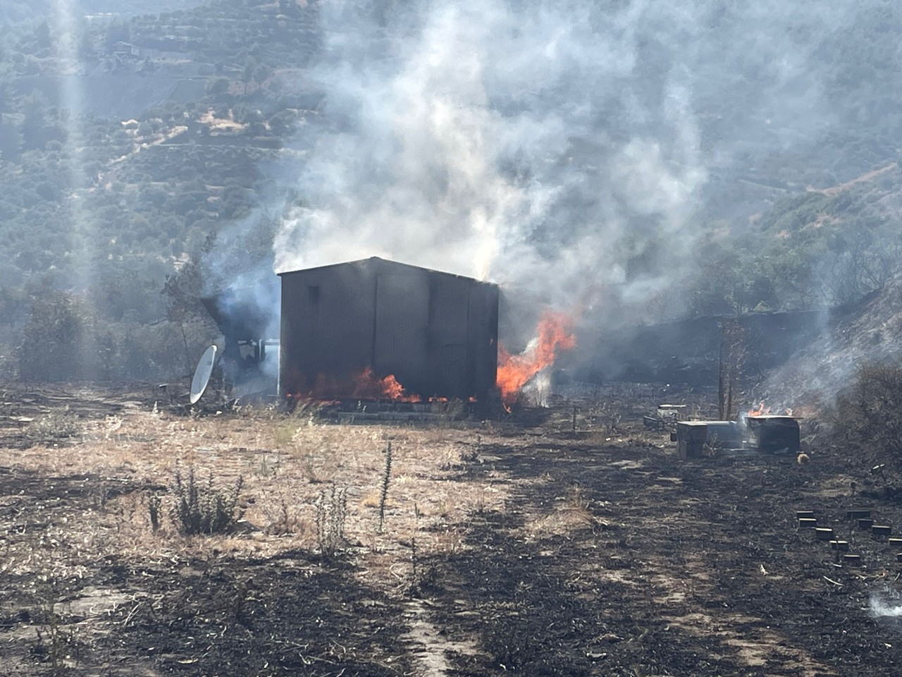 Hatay'da zeytinlik ve ormanlık alanda yangın çıktı