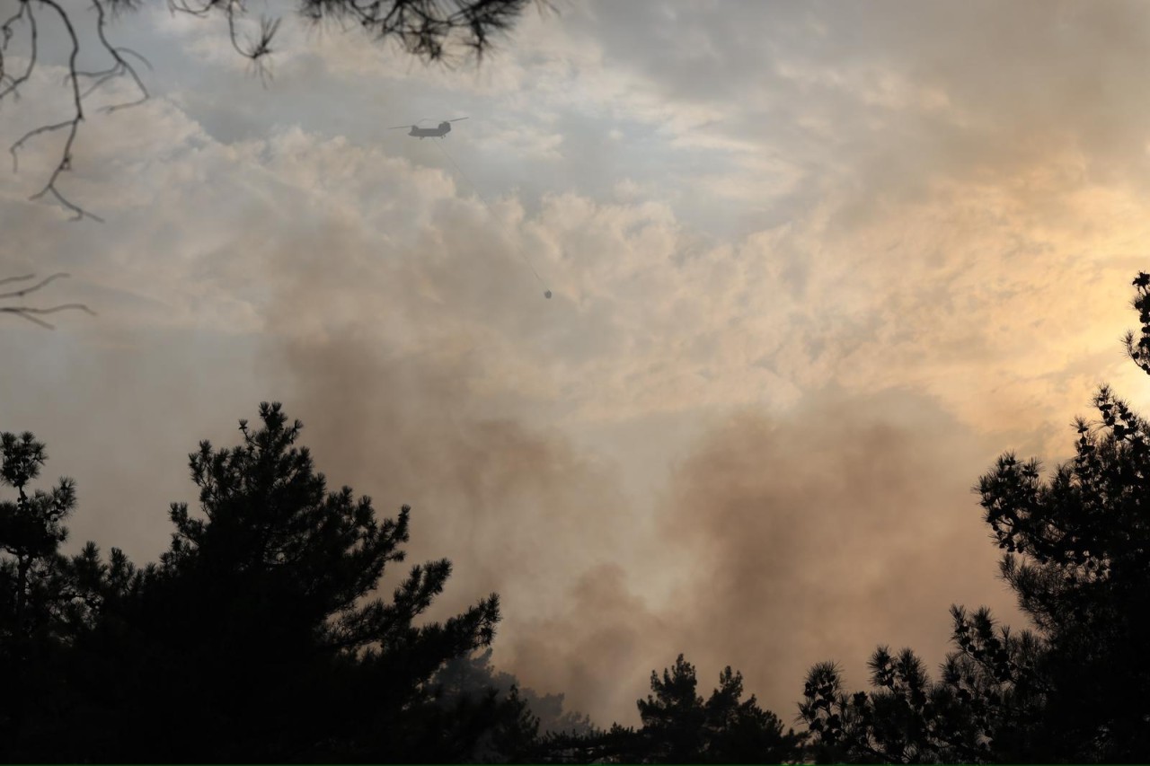 Akseki'de orman yangını