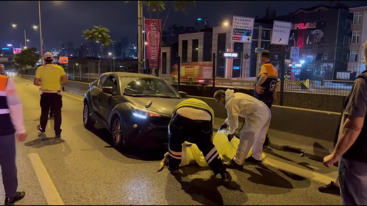 Kadıköy'de önce köpeğe sonra bariyere çarpan aracın sürücüsü Didem Elif Baş yaralandı