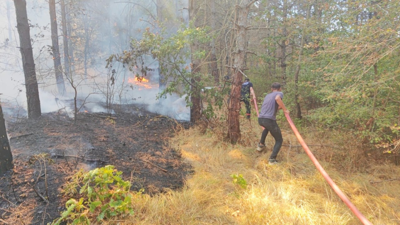 Tekirdağ'da orman yangını çıktı
