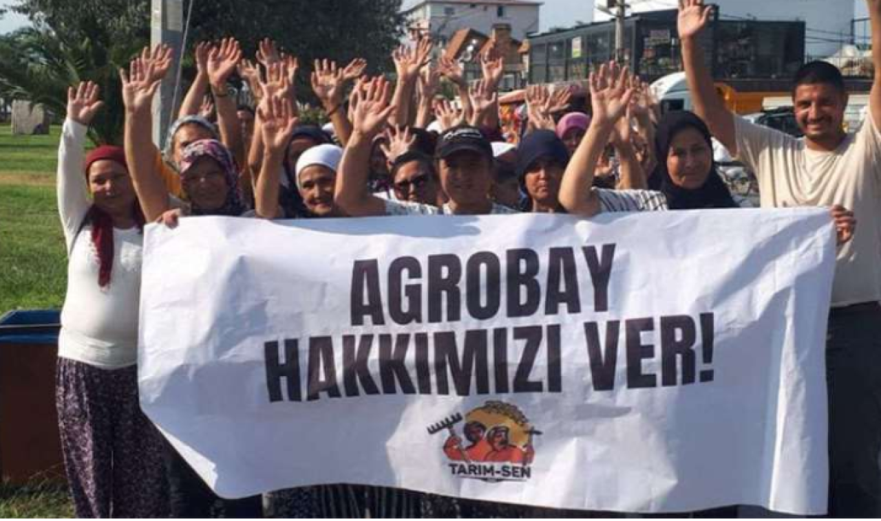 Agrobay İşçilerine,  Türkiye Gazeteciler Sendikası'ndan destek