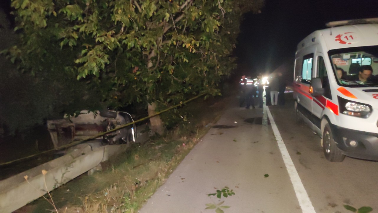 Bursa'da domuza çarpan araç devrildi: Recai Ekin ve Bedrettin Çelebi öldü