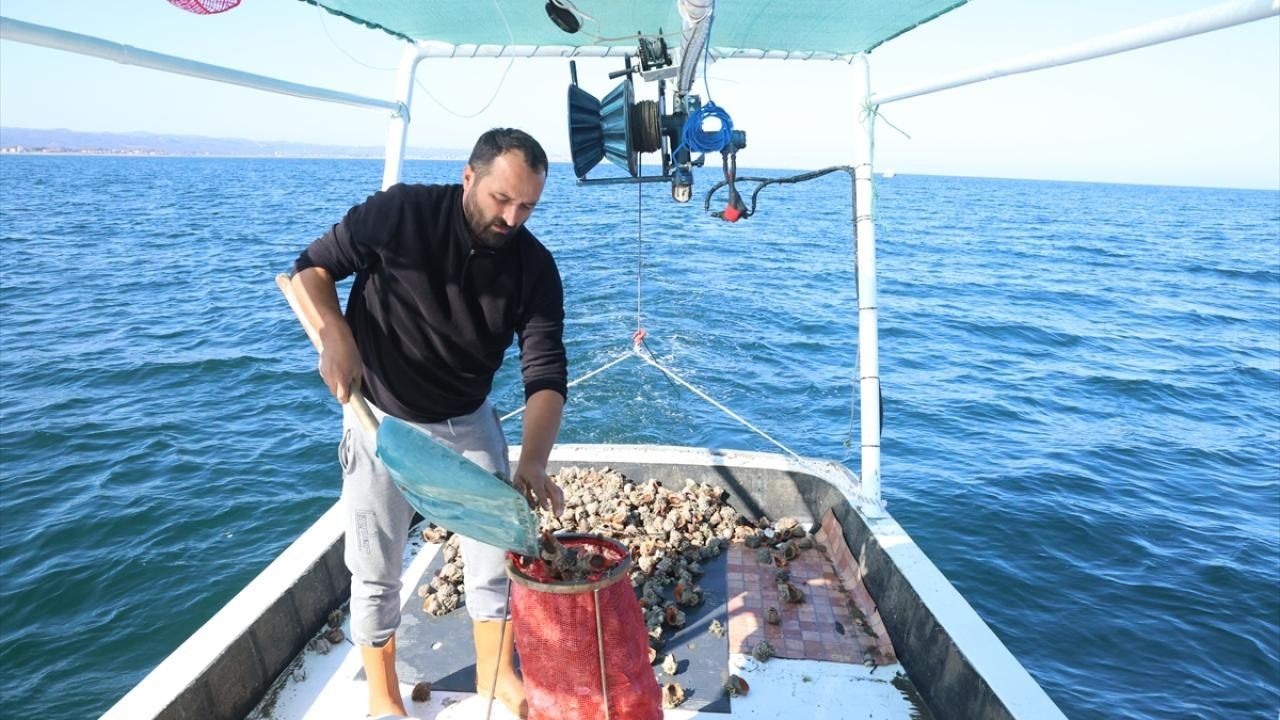 Karadeniz'den çıkarılıyor. Avrupa ve Uzak Doğu kapışıyor. Paraya para demiyorlar
