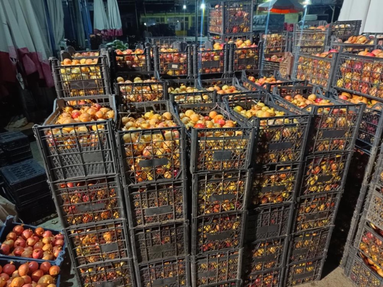 Kalbi saat gibi çalıştırıyor,  kanseri püskürtüyor: Tarlada 20 markette 69 TL'ye satılıyor