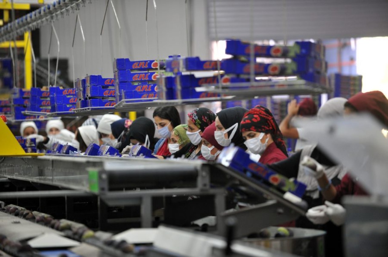 Böyle vitamin deposu yok! Kilosu 60 TL'den satılıyor,  kapış kapış gidiyor