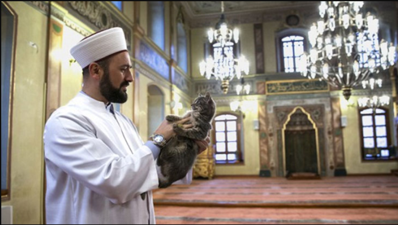 Gözaltına alınan imam Mustafa Efe'den son açıklama: Mekke'den duyurdu