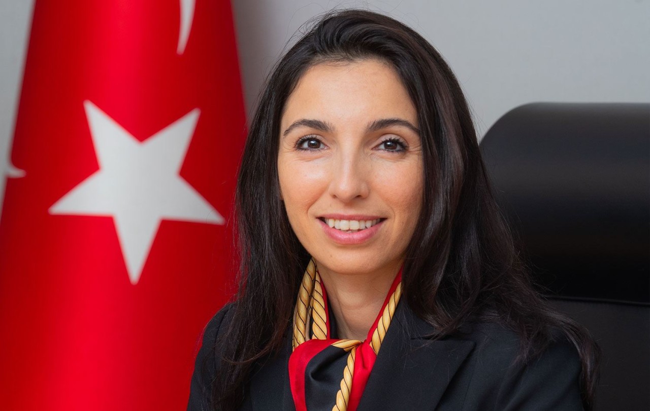 Merkez Bankası Başkanı Hafize Gaye Erkan'ın hayatındaki sırları Uğur Dündar açıkladı. 'Vicdanımın sesi' diyerek anlattı