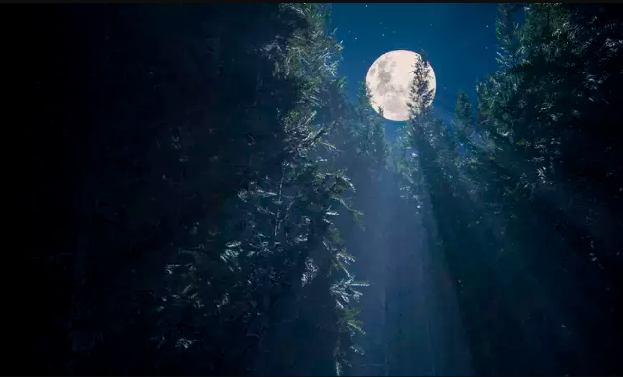 Ülkemizde en uzun ve en kısa gece hangi illerimizde yaşanacak? İşte detaylar