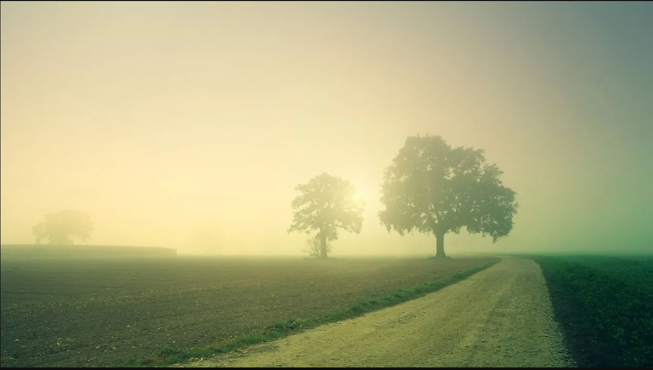 Meteoroloji il il açıkladı: Sis engeline dikkat!
