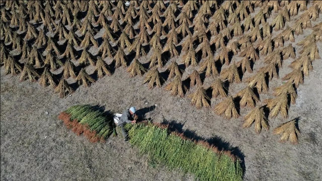 Bakan duyurdu: Hesaplara aktarılıyor!