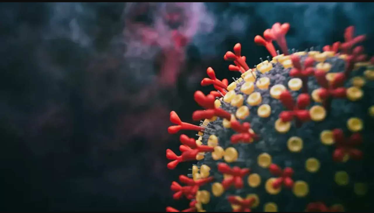 COVID'in yeni varyantı JN.1,  küresel çapta hızla yayılıyor!